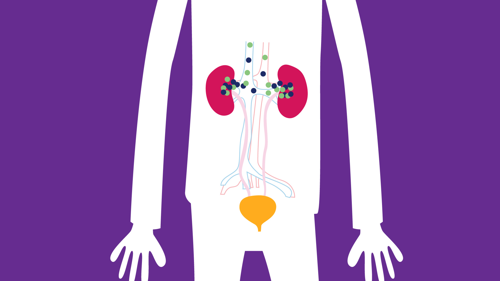 illustration Nos métiers